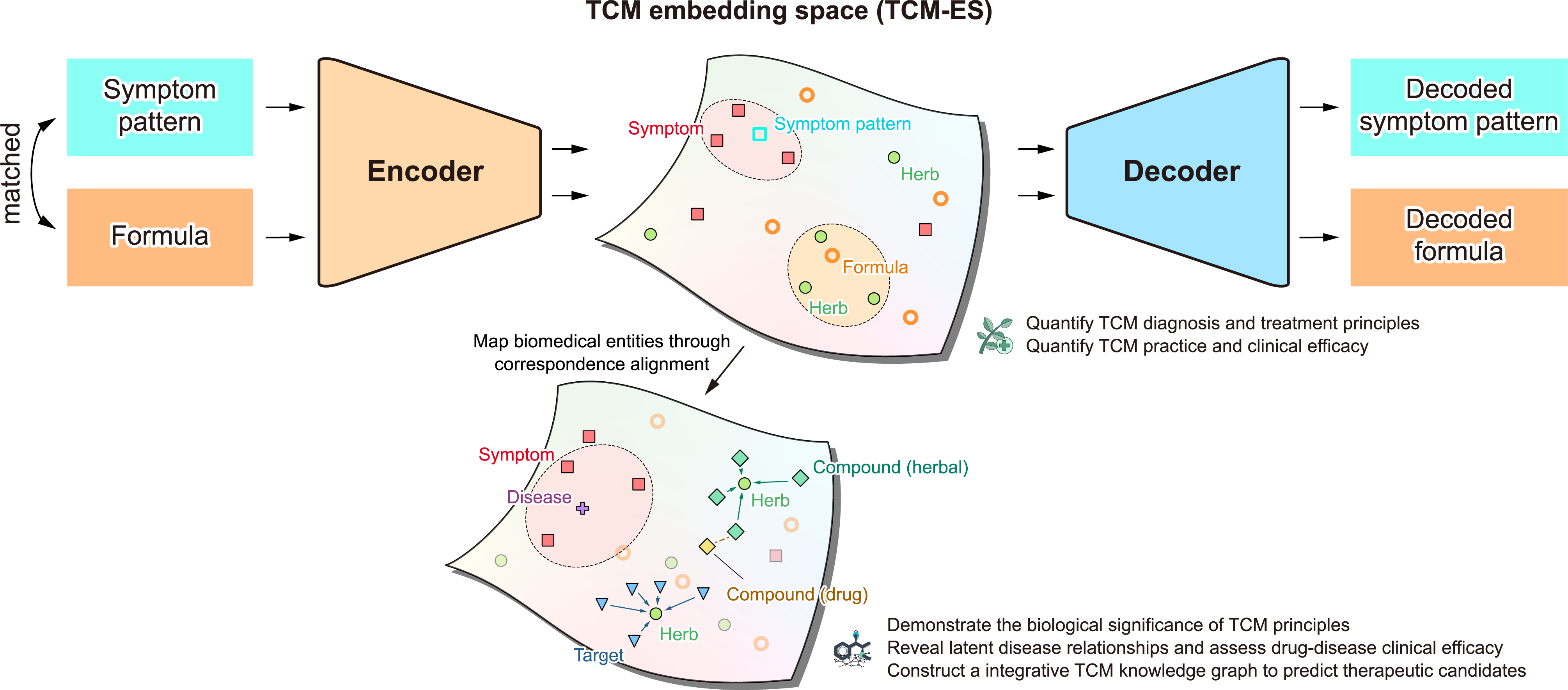TCM Embedding Space
